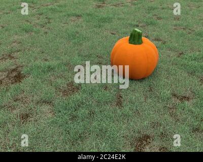 Pumpkin sur l'herbe pré en automne Banque D'Images