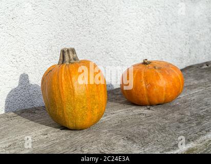 Citrouilles d'automne orange sur une ancienne table en bois contre un mur blanc. Aliments biologiques et aliments sains. Thanksgiving et Halloween concept. Banque D'Images