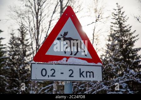 Le panneau de signalisation routière en Norvège avertit de l'orignal hors route en hiver Banque D'Images