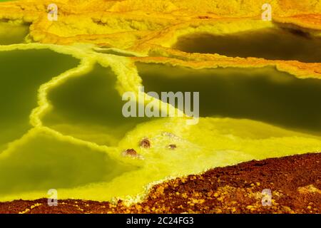 Beaux petits lacs de soufre et de l'Ethiopie. Dallol La dépression Danakil est le meilleur endroit sur Terre en termes de température moyenne toute l'année. C'est SLA Banque D'Images