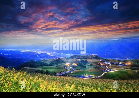 TheAerial vue sur la célèbre et magnifique fleur hémérocalle soixante à Stone Mountain à Hualien Taiwan Banque D'Images