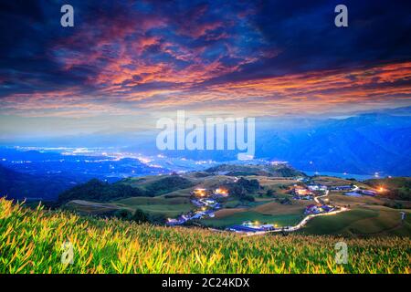 TheAerial vue sur la célèbre et magnifique fleur hémérocalle soixante à Stone Mountain à Hualien Taiwan Banque D'Images