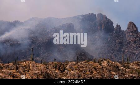 Un pompier monofeu surveille le feu de Bighorn dans les montagnes de Santa Catalina, le désert de Sonoran, la forêt nationale de Coronado, Tucson, Arizona, États-Unis. Banque D'Images