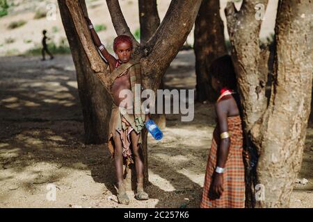 OMO VALLEY, ETHIOPIE - AOÛT 07 2018 : cérémonie de saut de taureau par les membres non identifiés de la tribu Hamer Banque D'Images