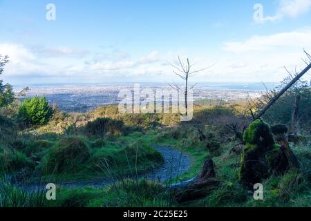 Vue imprenable sur la ville et le port de Dublin depuis Ticknock, 3rock, Wicklow. Plantes géantes et forestières en premier plan pendant un temps calme Banque D'Images