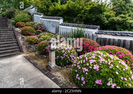 Jardin vertical de Jizoji - Jizoji a été fondé par Kobo Daishi lui-même, qui a sculpté une petite image de Jizo encore trouvée au temple. La plupart des bâtiments da Banque D'Images