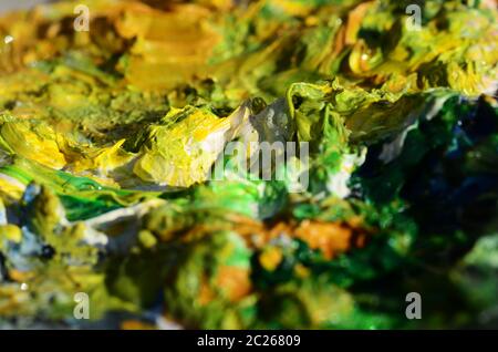 Peinture à l'huile verte sur une palette sèche Banque D'Images