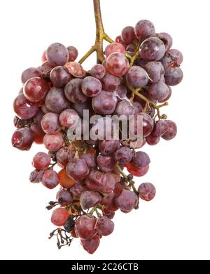 bouquet de raisins trop mûrs isolés sur blanc Banque D'Images