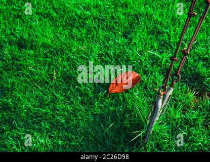 Pince pour élingue en fil d'acier sur l'herbe verte et la feuille sèche rouge Banque D'Images