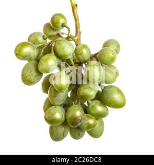 bouquet de raisins verts non mûrs. isolé sur blanc Banque D'Images