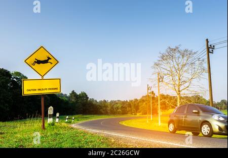 Voiture de l'éco-conduite avec prudence au cours d'un voyage à curve route asphaltée près de yellow signe de la circulation à l'intérieur du saut du cerf signe et m'ont Banque D'Images
