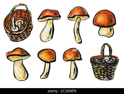 Les champignons et les paniers en osier. Concept d'automne. Cèpes, bolets et cèpes bouchon close up. Champignons au chapeau brun-rouge et blanc des jambes. Side Banque D'Images