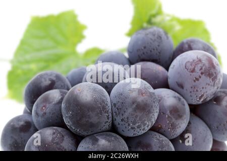 Bouquet de raisin pourpre mûrs isolé sur fond blanc Banque D'Images