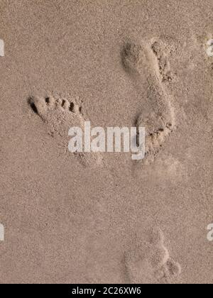 Footprints in sand on beach Banque D'Images