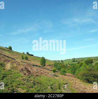 champs verdoyants vallonnés avec pâturage couvert d'herbe et vieilles fermes en pierre dans les bières du yorkshire à crimsworth près de la crag de hardcastle Banque D'Images