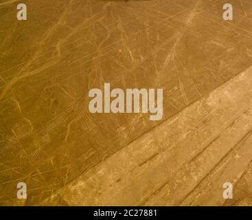 Avion aérien vue panoramique sur les lignes de géoglyphe de Nazca alias frégate oiseau et héron ou flamango , ICA, Pérou Banque D'Images