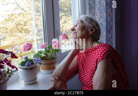 Vieille Femme solitaire assis près de la fenêtre de sa maison avec des fleurs Banque D'Images