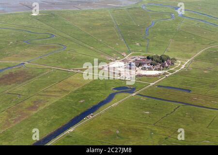 Hallig Hooge, Photo aérienne du Schleswig-Holstein mer des Wadden Parc National en Allemagne Banque D'Images