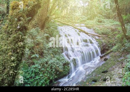 Chutes d'eau de forêt profonde à Kew Mae Pan, Chom Thong, Chiang Mai, Thaïlande Banque D'Images