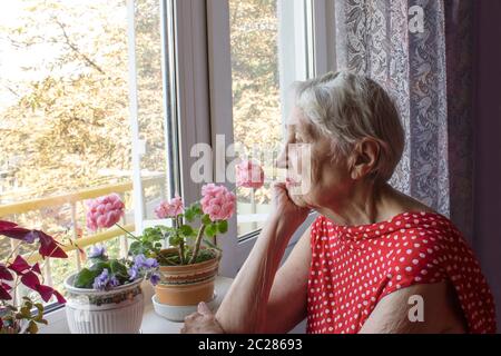 Vieille Femme solitaire assis près de la fenêtre de sa maison avec des fleurs Banque D'Images