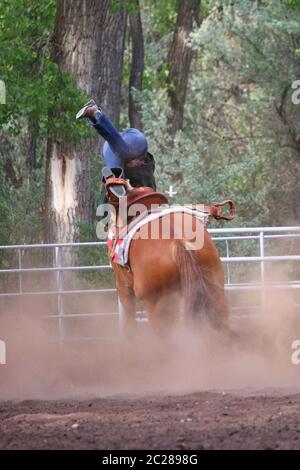 Un jeune Rider qui tombe de son cheval tête sur les talons à un spectacle équestre local Club Playday en été Banque D'Images