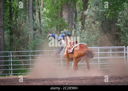 Un jeune Rider qui tombe de son cheval tête sur les talons à un spectacle équestre local Club Playday en été Banque D'Images