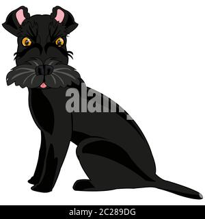 Illustration vectorielle de la bande dessinée du chien noir du genre scnauzer Banque D'Images