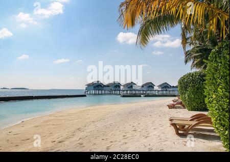 Plage tropicale, Maldives Banque D'Images