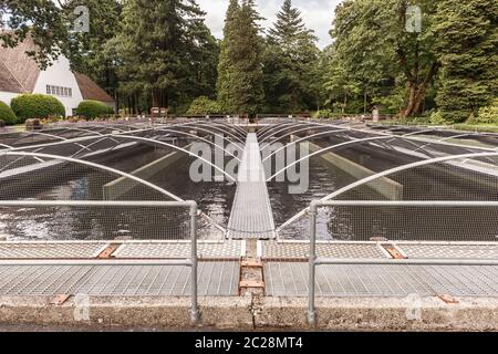 Cascade Locks, Oregon - 26 juin 2018 : bassins de la station piscicole de Bonneville, Oregon, États-Unis Banque D'Images