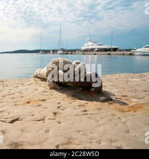 Pour l'amarrage des bateaux dans le port de Pula en Croatie Banque D'Images