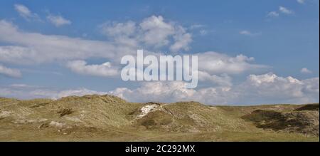 Dans les dunes de Julianadorp aan Zee, district Den Helder, province Hollande, pays-Bas, Europe de l'Ouest Banque D'Images