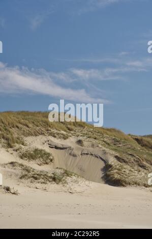 Dans les dunes de Julianadorp aan Zee, district Den Helder, province Hollande, pays-Bas, Europe de l'Ouest Banque D'Images