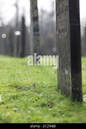 Une rangée de pierres tombales sur un cimetière en automne. Profondeur de champ étroite Banque D'Images