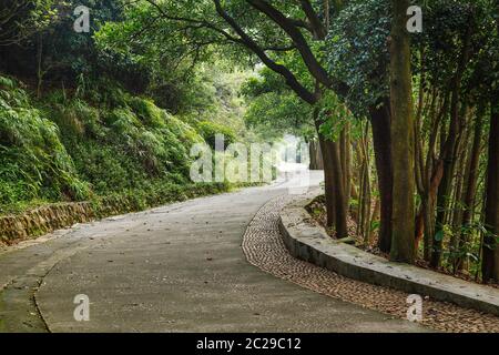 chemin de pierre sinueux dans le parc parmi les buissons et les arbres Banque D'Images