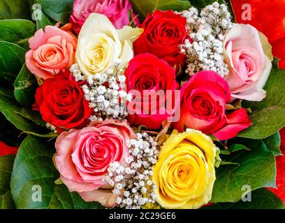 Bouquet de belles roses rouges, jaunes et blanches et roses Banque D'Images