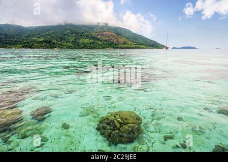 La mer verte et claire donne sur les récifs coralliens de l'île de Koh Lipe, en Thaïlande Banque D'Images