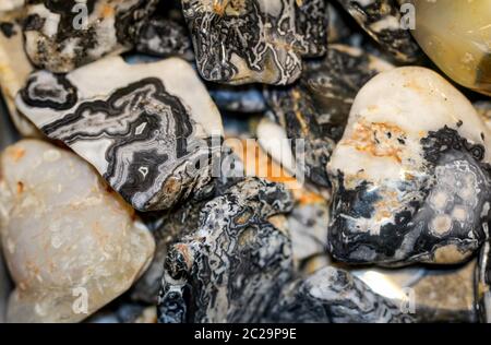 pierres précieuses, coquillages, fossiles et pierres semi-précieuses aux couleurs magnifiques Banque D'Images