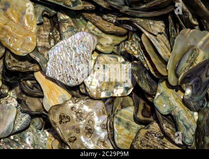 pierres précieuses, coquillages, fossiles et pierres semi-précieuses aux couleurs magnifiques Banque D'Images