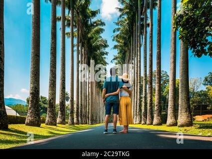 Couple visitant la palmeraie des jardins botaniques royaux de Kandy au Sri Lanka. Paysage tropical asiatique paysage Voyage Banque D'Images