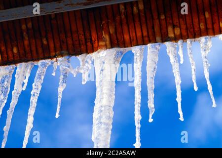 De nombreuses glaces, grandes et pointues, pendent sur le toit de la maison. Banque D'Images