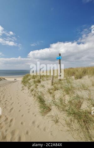 La mer du Nord, la plage de sable et les dunes entre Julianadorp et Den Helder, 'Strandslag Falga', quartier Den Helder, province Hollande, pays-Bas Banque D'Images