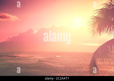 Skt tropical au coucher du soleil avec palmiers Banque D'Images