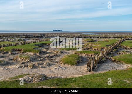 Île de Neuwerk en mer du Nord, dans la mer des Wadden, État fédéral de Hambourg, patrimoine mondial de l'UNESCO, Parc national zone II, Allemagne du Nord, Europe Banque D'Images