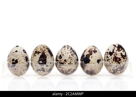caille les œufs dans un récipient en plastique transparent sur fond blanc Banque D'Images