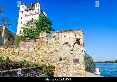 Château électoral à Eltville dans Rheingau, une région de la ville de vin mousseux, vin et rose d'Eltville sur le Rhin dans le Rheingau-Taunus à Hesse, Allemagne Banque D'Images