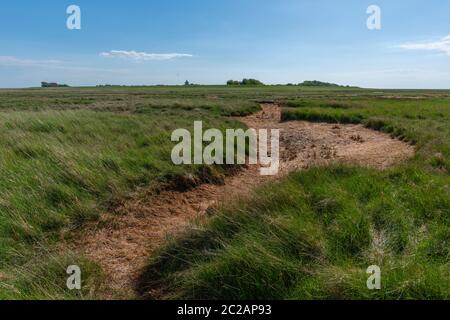 Île de Neuwerk en mer du Nord, dans la mer des Wadden, État fédéral de Hambourg, patrimoine mondial de l'UNESCO, Parc national zone I, Allemagne du Nord, Europe Banque D'Images