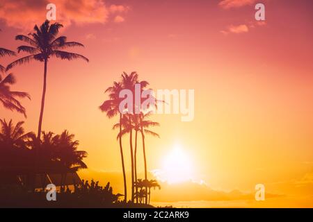 Skt tropical au coucher du soleil avec palmiers Banque D'Images