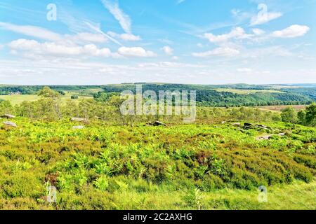 Une journée d'été en profitant de la vue sur Derbyshires, luxuriante fougères couvertes de landes s'étendant à la forêt à l'horizon. Banque D'Images