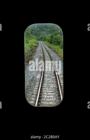 Train à travers la forêt tropicale, vue depuis la fenêtre intérieure du train. Banque D'Images
