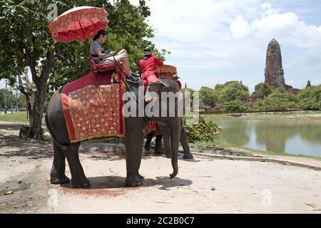 L'éléphant thaïlandais amener les touristes à visiter l'ancienne capitale tThai, à Ayutthaya. Banque D'Images